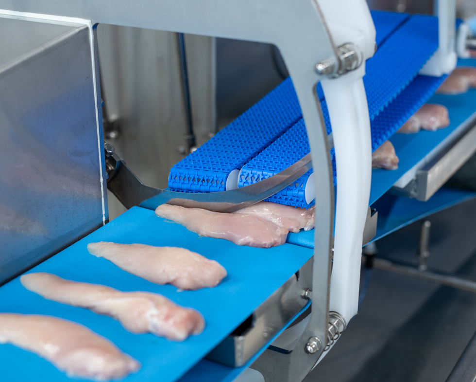 High-precision portioning for fish, poultry and meat | Borncut