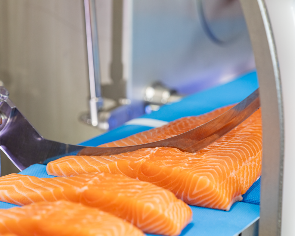 Portioning Fish High-precision portioning for fish, poultry and meat | Borncut