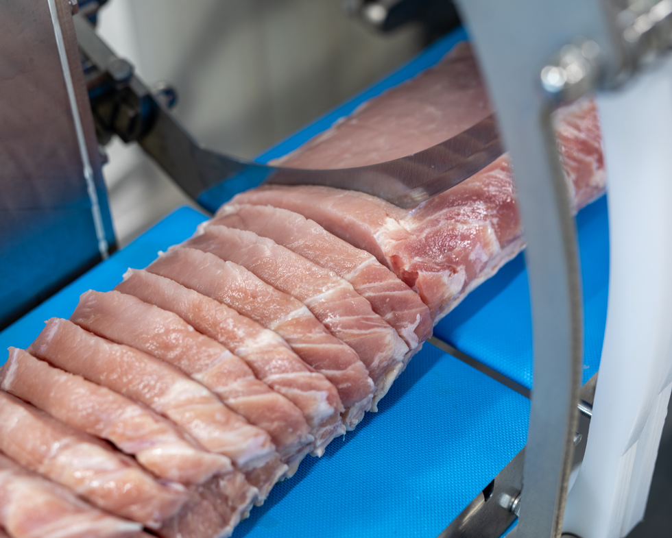 Portioning Fish High-precision portioning for fish, poultry and meat | Borncut